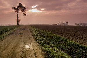 梦想的光芒，照亮前行的路！洲际赛，勇敢者的游戏！